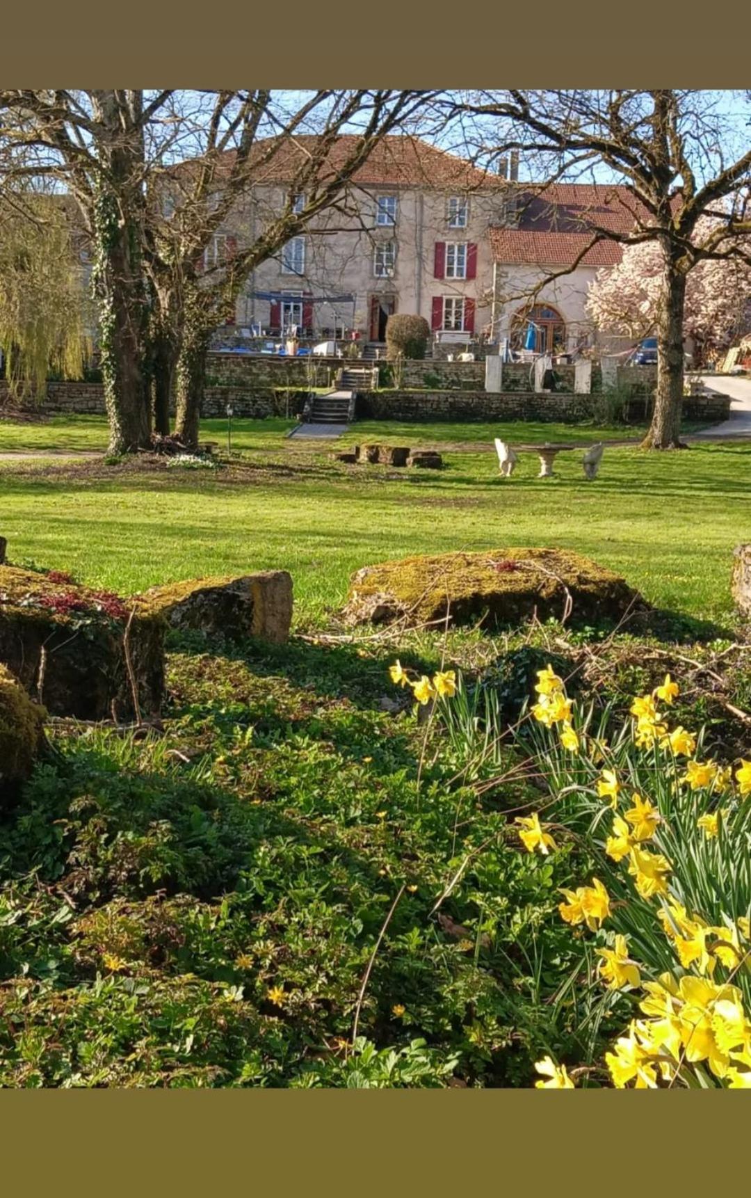 Le Domaine D'Elise Chambres Et Table D'Hotes - Vosges Saint-Ouen-les-Parey Екстериор снимка