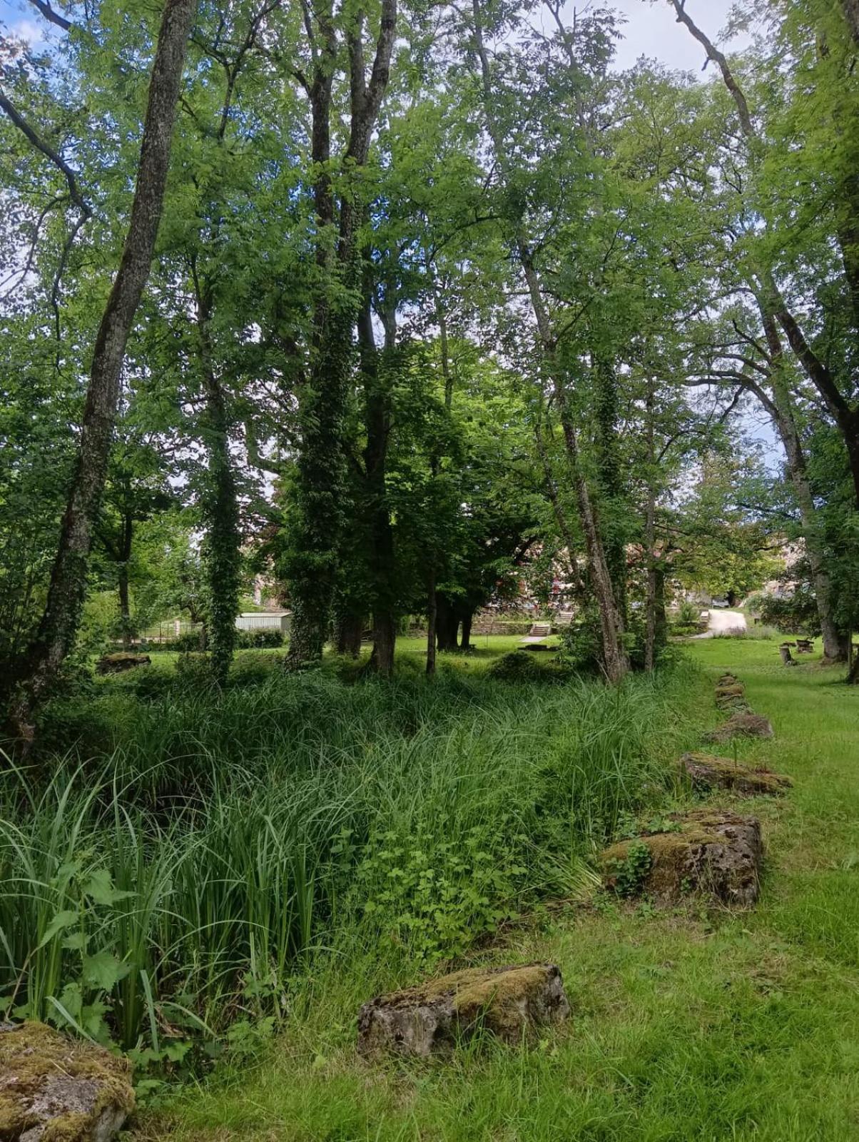Le Domaine D'Elise Chambres Et Table D'Hotes - Vosges Saint-Ouen-les-Parey Екстериор снимка